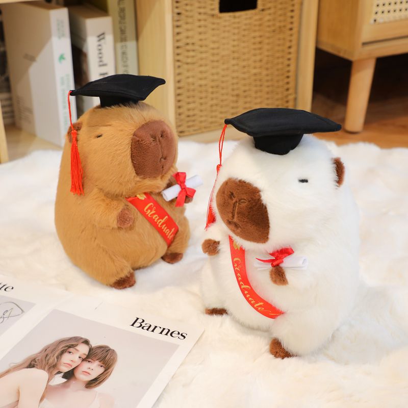 Graduation Capybara Plushies - Perfect Graduation Gifts